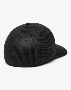 Bear 2.0 Fitted Hat