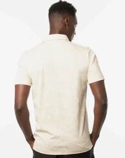 On Porpoise Polo
