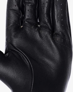 Premier 2.0 Golf Glove